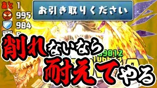 木属性には辛すぎる！リクウの発狂をアイツで耐えてみたら…【パズドラ】