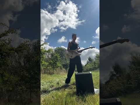 Guitar in the wild