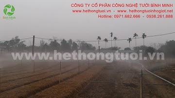 tưới phun mưa tự động 20ha