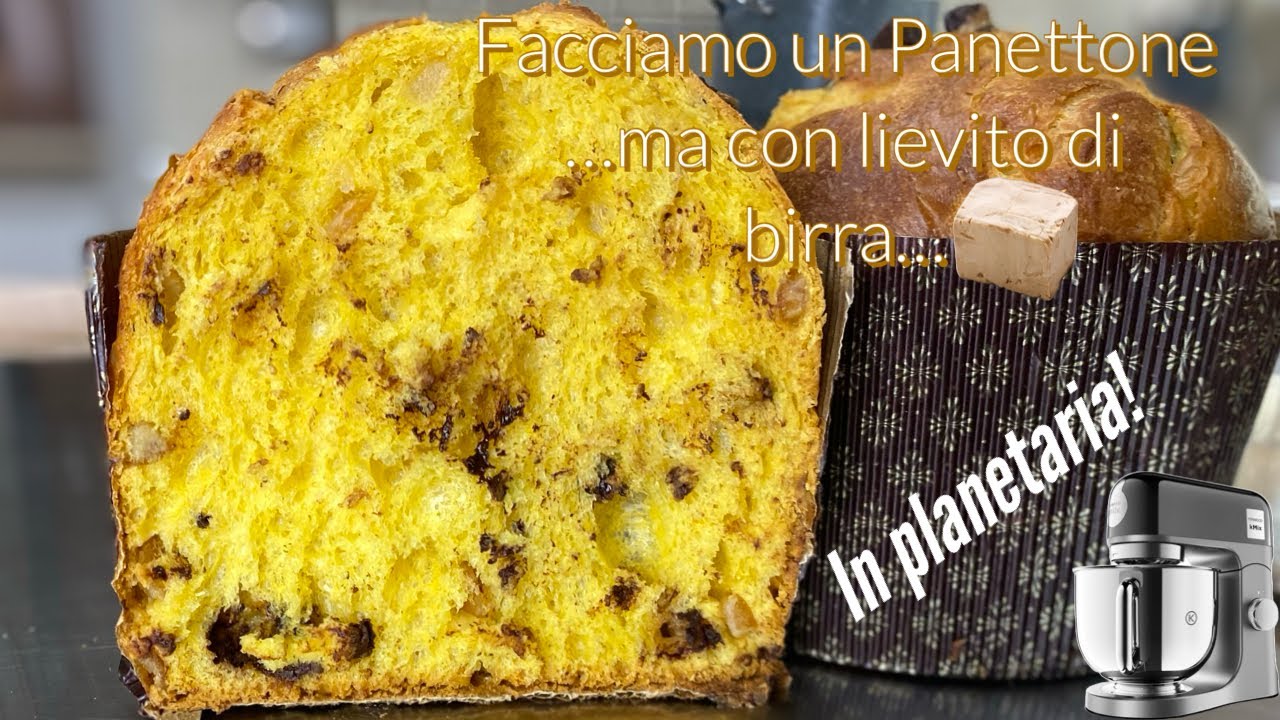 Panettone con biga impasto in planetaria e lievito di birra