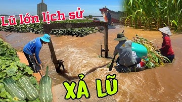 Xả lũ biên giới Campuchia nước dâng mau chưa từng thấy ngập úng Bí Bắp bỏ luôn