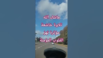 ماشاء الله تلاوة خاشعة مؤثرة تهز القلوب المؤمنة