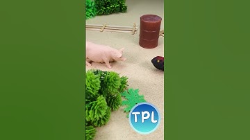 ruthless #toplalife #short #horse #lizard  #pigs #animals  #animation #toys #cartoon #funny #farming