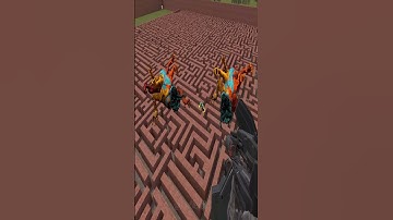 Doey Small To Gaint in Maze