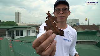 Next Project - Ocular Visit at Quezon City Actual measurements done