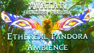Experience Ethereal Ambience Music On Pandora | Avatar Frontiers of Pandora (Queen's Vision Part 1)