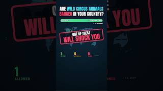 Which Countries BAN Wild Circus Animals? Check YOUR Country (2026 Map)