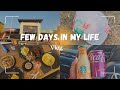 Vlog| Few days in my life, monthly groceries, Dischem haul, #southafricanyoutuber  #roadto200subs