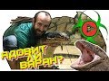 ЯД ВАРАНА! Действительно ли вараны ядовиты? / Конкурс!