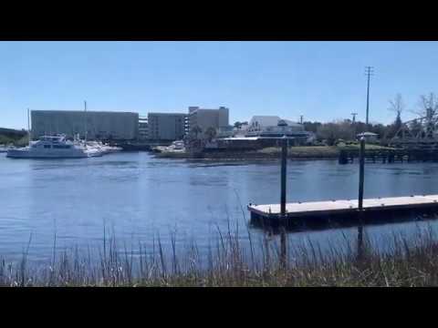 All Videos