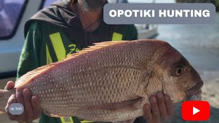 Opotiki Hunting NZ