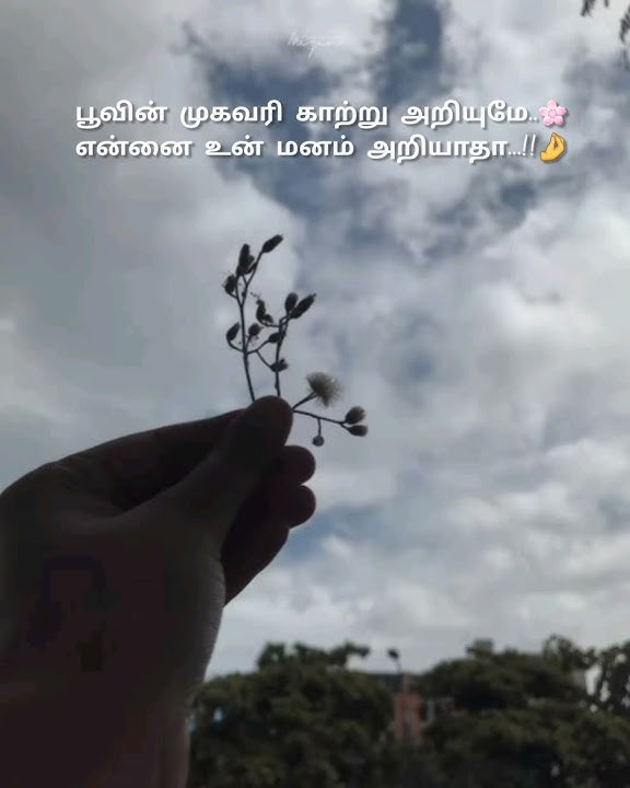 Poovin mugavari katru ariume.. ennai un manam ariyatha.. #shorts#ytshorts#tamil#songs#love#feel#sad