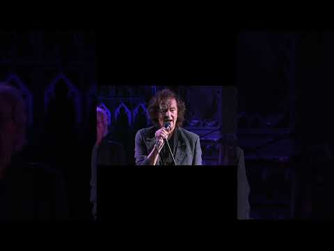 A clip of Old and Wise from our 2024 performance of One Year Live and More at London's Union Chapel