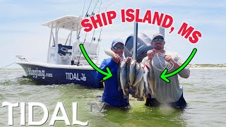 Wade Fishing Speckled Trout at Ship Island MS | Tips and Tricks with the Pros