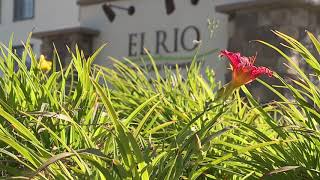 Modesto assisted living facility confirms dozens of patients, staff tested positive for COVID-19