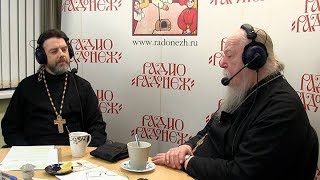 Радио «Радонеж». Протоиерей Димитрий Смирнов. Видеозапись прямого эфира от 2018.12.08