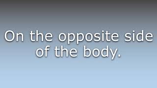 What does Contralateral mean?