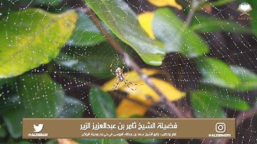 تلاوة رائعة خاشعة لسورة الفاتحة ولما تيسر من سورة العنكبوت لفضيلة الشيخ ثامر الزير