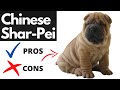 Chinese SHAR-PEI Pros And Cons | The Good AND The Bad!!