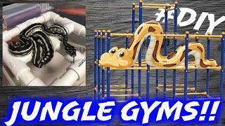 SNAKE JUNGLE GYMS!! | Building Custom Perches | Mixology #32