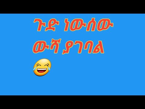 ቪዲዮ: ውሻው ለምን ባዶውን ይመለከታል እና ይጮኻል