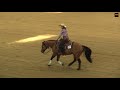 Senior Reining Champion bei der German Open 2017