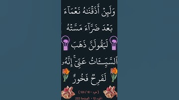 ما تيسر من القران الكريم سورة هود @Quran_Best_Voices