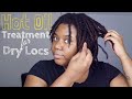 My Winter Hot Oil Treatment for Dry Locs