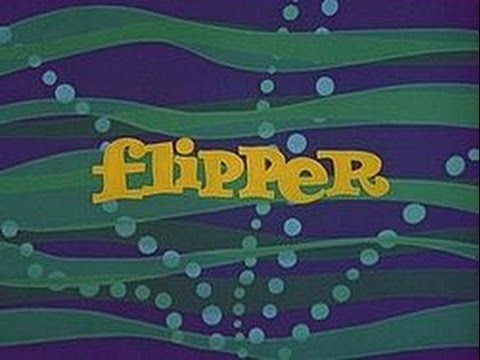 Flipper (Intro)