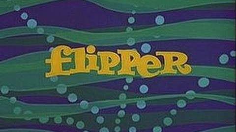Flipper (Intro)