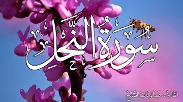 سورة النحل | القارئ د. عبدالوهاب الصالح Surah An-Nahl