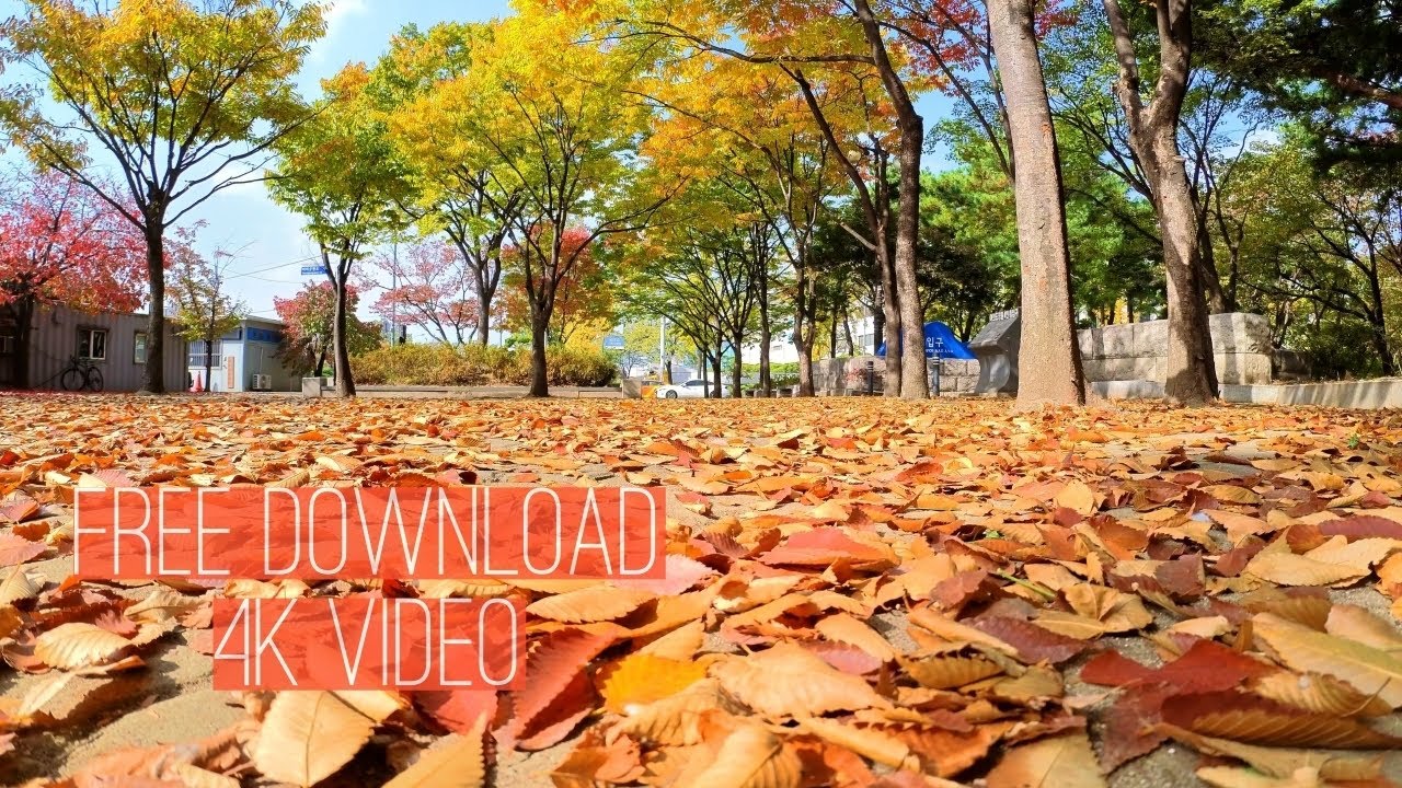 free stock videos 4k free stock videos 4k