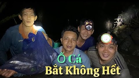Trọn bộ mò đêm bất ngờ trúng ổ cá bắt không hết là có thật | Cù Lao Dung Vlogs #467