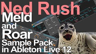 Ableton Live 12 Tutorial  Meld and Roar Sample Pack = Ned Rush
