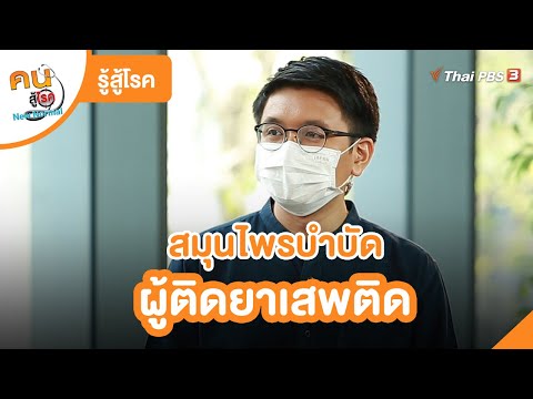 สมุนไพรบำบัดผู้ติดยาเสพติด | รู้สู้โรค