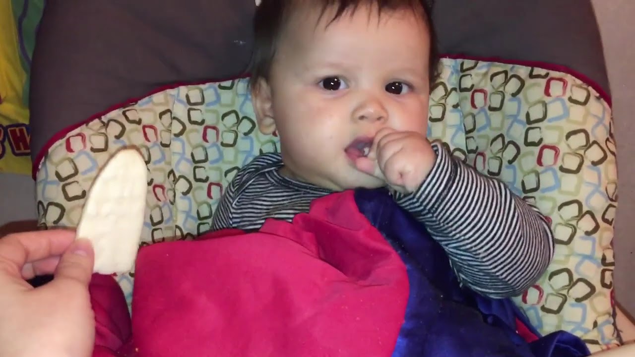 6 month old reviews Teething Wafer YouTube