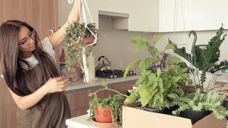 A Peaceful Tour of My Container Garden (50+ Plants) | Urban Farming