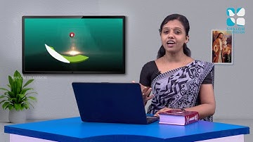 രക്ഷയുടെ പാതയിൽ-23| 7th Standard | Chapter 13 | Part-2 | Catechism Classes