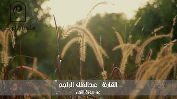 عشائية تحبيرية من سورة النحل .. للقارئ : عبدالملك الراجح