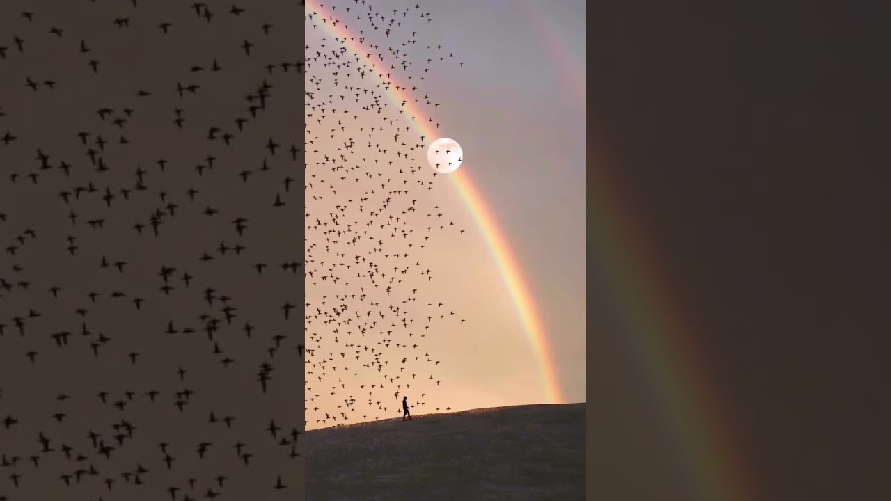 May this year bring you closer to the God presence within #shorts