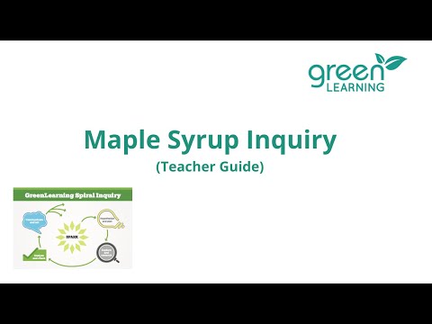 Maple Syrup Inquiry