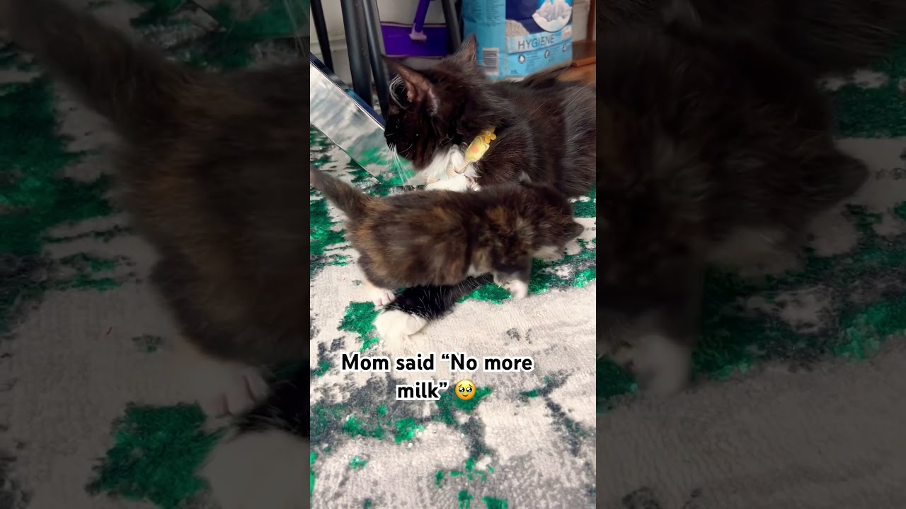 Mom; That enough feeding 🙄 