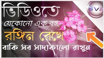 Isolate one colour in kinemaster.Colour splash effect.Colour Selection . How to focus one colour