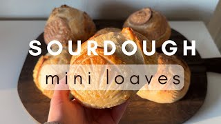 Sourdough Mini Loaves / Bread Bowls | Minis Version 1