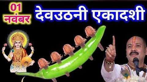 1 नवम्बर देवउठनी एकादशी को 5 लौंग और एक हरी मिर्च वाला उपाय जरूर करे| pandit mishra ji sehore wale