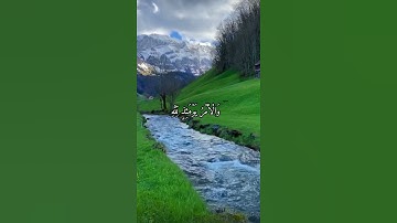 واتس اب قران كريم القارئ احمد خضر (سوره الإنفطار)