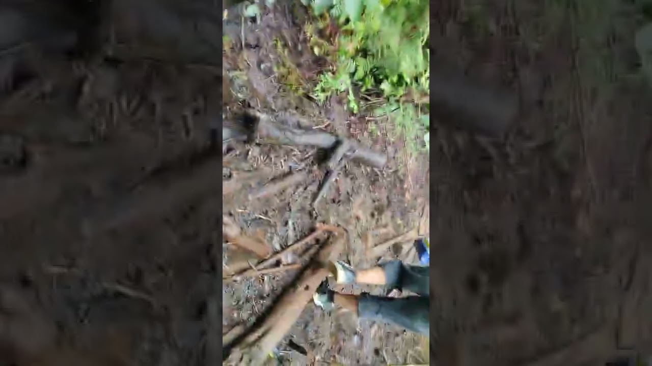 Lumpur Hidup -Gunung Salak