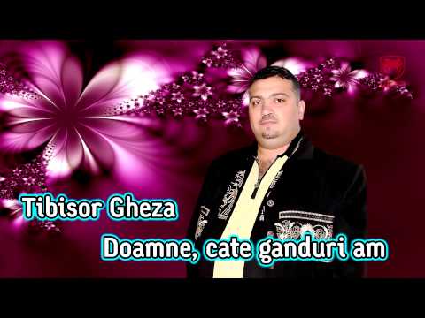 Tibisor Gheza - Doamne, cate ganduri am