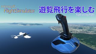 【Microsoft Flight Simulator 2020】THRUSTMASTER TCA Sidestick Airbus Edition を遊覧飛行で使う