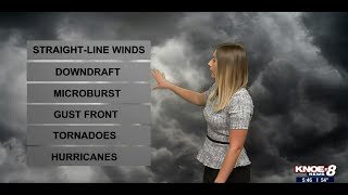 Different Types of Wind Damage